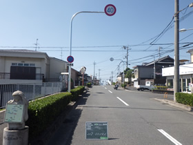 完成写真