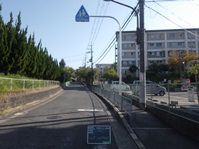 完成写真