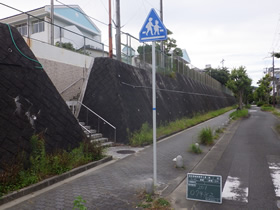 完成写真