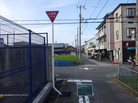 完成写真