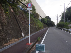 完成写真