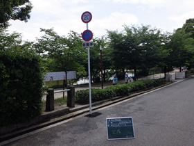 完成写真