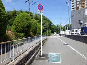完成写真