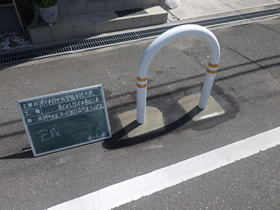 完成写真
